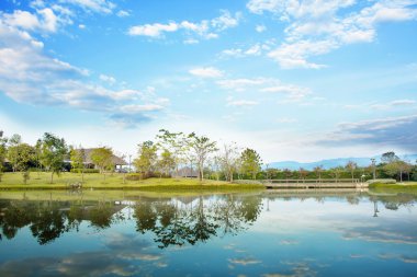 Lagün ile peyzaj Bahçe tasarımı