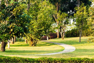 Bahçede peyzaj. Bahçedeki patika.