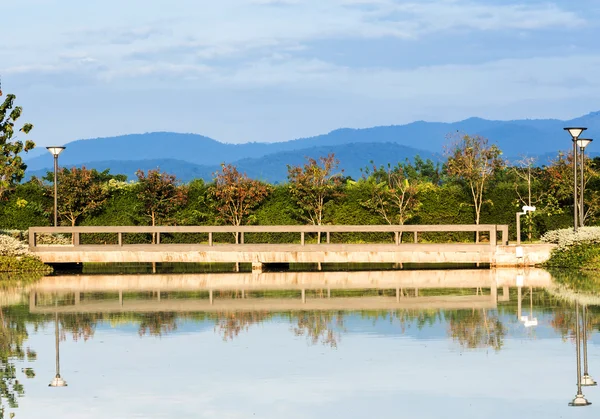 Ponte no projeto do jardim . — Fotografia de Stock