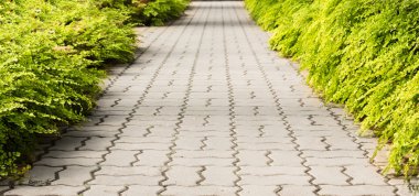 Bahçede peyzaj. Bahçedeki patika.