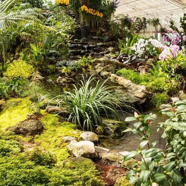 Cascada en el diseño del jardín . — Foto de Stock