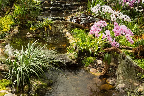 Cascada en el diseño del jardín . — Foto de Stock