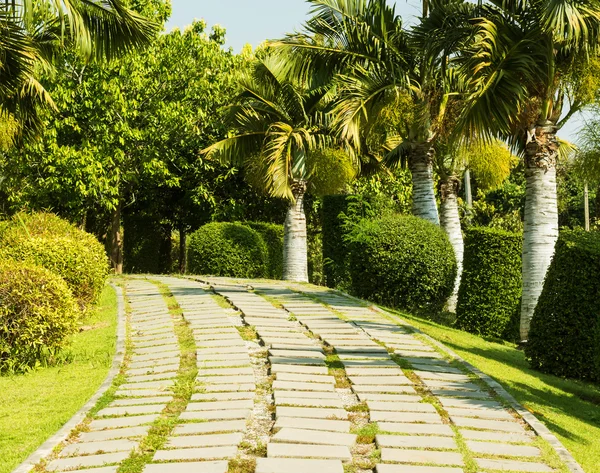 Tropische tuin ontwerp. — Stockfoto
