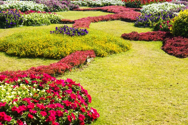 Hermoso diseño de jardín . —  Fotos de Stock