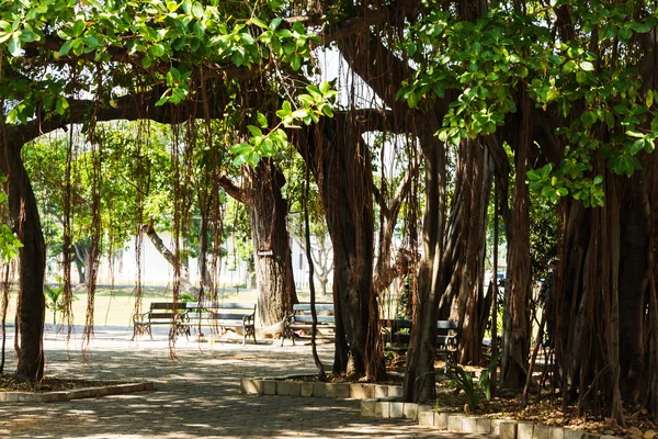 Bench in the park — Stock Photo, Image