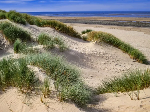 Aberdovey west wales — Stockfoto