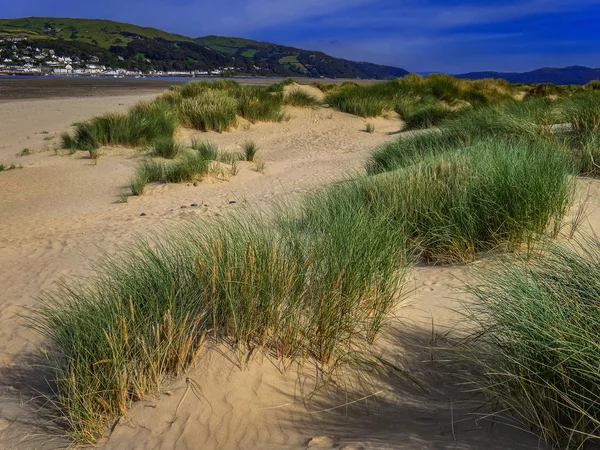 Velp west wales — Stockfoto