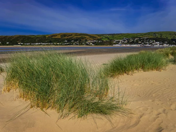 Velp west wales — Stockfoto