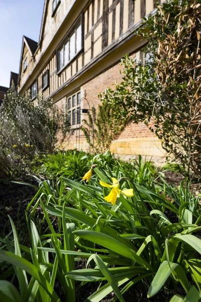 Jardins de casa imponente — Fotografia de Stock