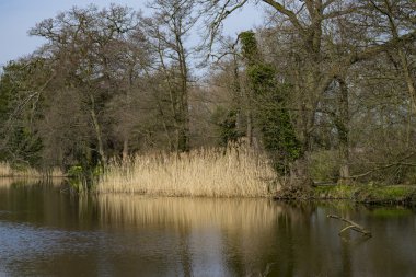 heybetli ev bahçeleri