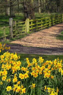 heybetli ev bahçeleri