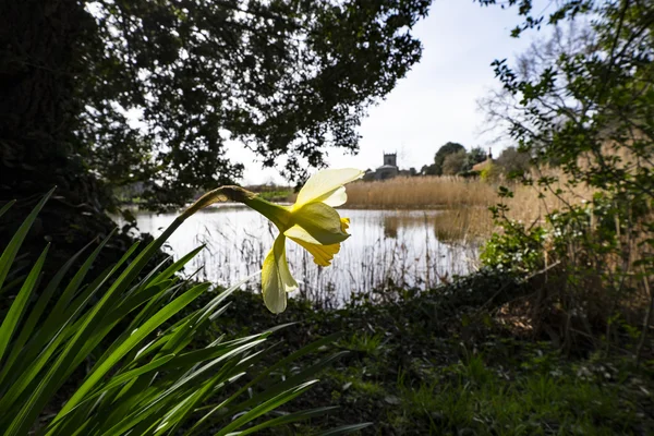 Jardins de la maison majestueuse — Photo