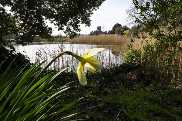 Jardins de la maison majestueuse — Photo