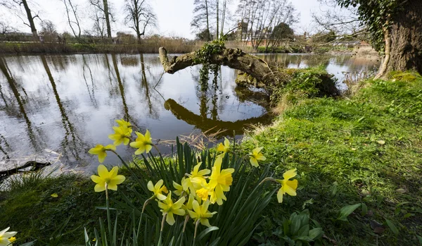 Jardins de la maison majestueuse — Photo