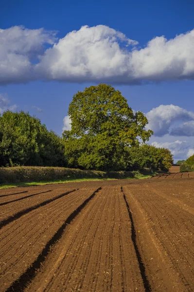 Teren agricolpeisaj rural UK — Fotografie, imagine de stoc