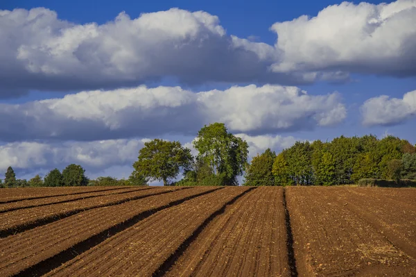 Campo agriculrural paisaje Reino Unido — Foto de Stock