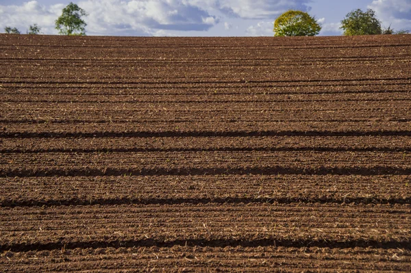 Champ agricole paysage rural UK — Photo