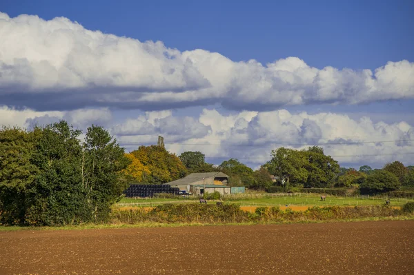 Veld agriculrural landschap Uk — Stockfoto