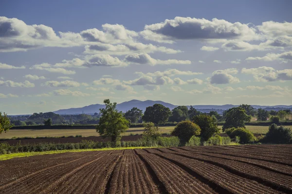 Pole agriculrural krajobraz Uk — Zdjęcie stockowe