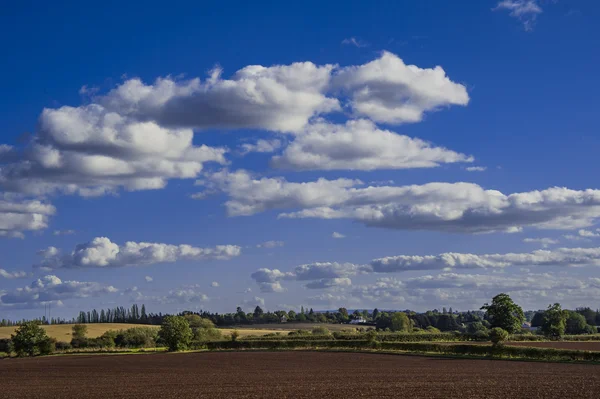 Alan agriculrural manzara İngiltere'de — Stok fotoğraf