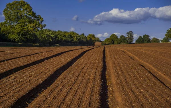 Pole agriculrural krajobraz Uk — Zdjęcie stockowe