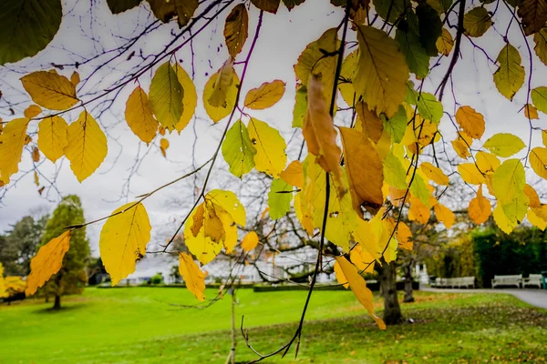 Jardines al aire libre escénico — Foto de Stock