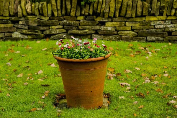 Gardens outdoor scenic — Stock Photo, Image