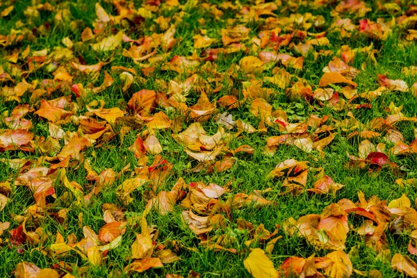 Jardines al aire libre escénico — Foto de Stock