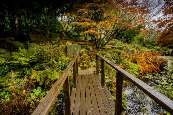 Gardens outdoor scenic — Stock Photo, Image