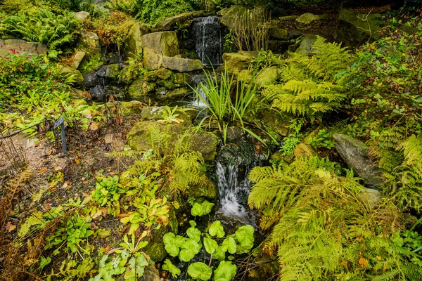 Gardens outdoor scenic — Stock Photo, Image