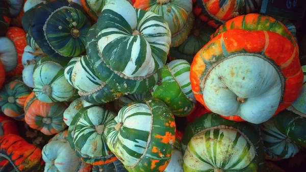 Perto Abóboras Mercado Agricultores Conceito Estação Outono — Fotografia de Stock