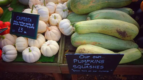 Primo Piano Delle Zucche Mercato Agricolo Concetto Stagione Autunnale — Foto Stock