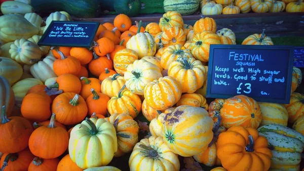 Nahaufnahme Von Kürbissen Auf Bauernmarkt Herbstsaisonkonzept — Stockfoto