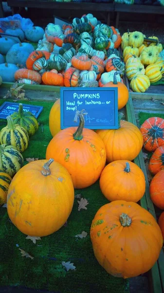 Nahaufnahme Von Kürbissen Auf Bauernmarkt Herbstsaisonkonzept — Stockfoto