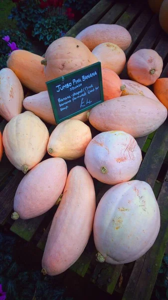 Nahaufnahme Von Kürbissen Auf Bauernmarkt Herbstsaisonkonzept — Stockfoto