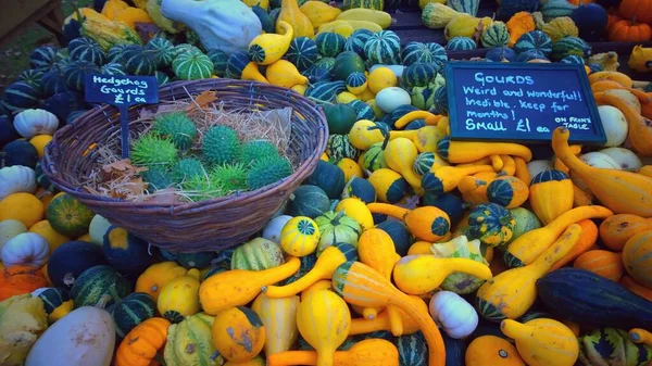 Primer Plano Las Calabazas Mercado Agricultores Concepto Temporada Otoño — Foto de Stock