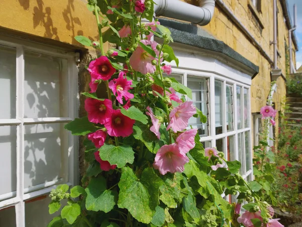 Street in chipping campden cotswolds — Stock Photo, Image