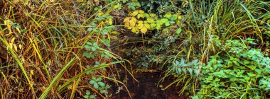 İngiliz kırsal kesimindeki bir İngiliz köyünde duvarlarla çevrili bir bahçe