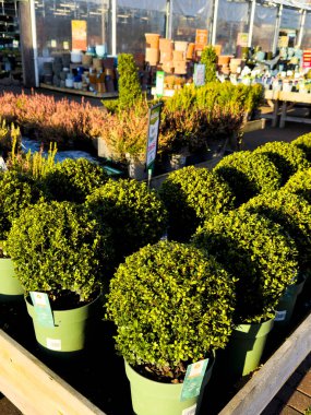 Bahçe merkezi Redditch Worcestershire İngiltere