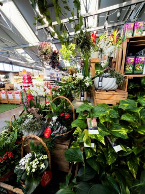 Bahçe merkezi Redditch Worcestershire İngiltere