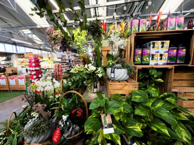 Bahçe merkezi Redditch Worcestershire İngiltere