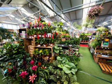 Bahçe merkezi Redditch Worcestershire İngiltere