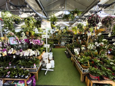 Bahçe merkezi Redditch Worcestershire İngiltere