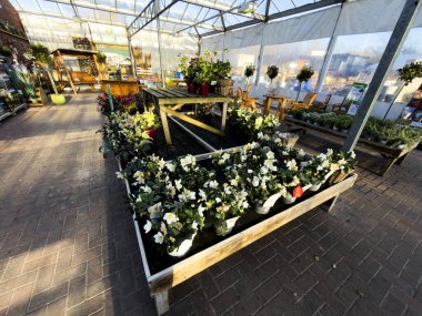 Bahçe merkezi Redditch Worcestershire İngiltere