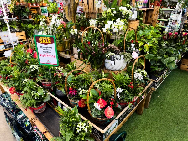 Bahçe merkezi Redditch Worcestershire İngiltere