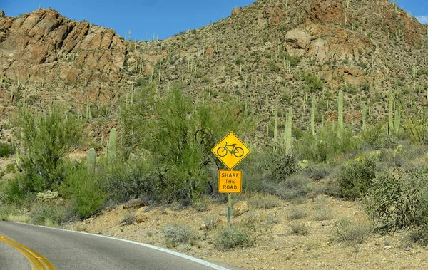 Share the road with bicycles — Stock Photo, Image