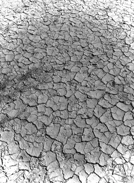 Land drought image — Stock Photo, Image