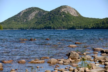 Yaz aylarında Acadia Milli Parkı'nda New England