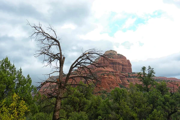 Caminata del vórtice del cañón de Boynton en sedona — Foto de Stock