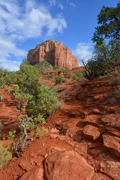 Vista vibrante desde el vórtice de roca Bell en Sedona Imagen de archivo